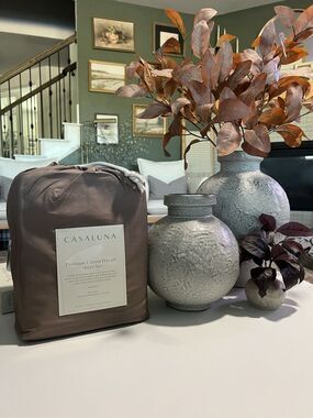 Queen 400 Thread Count Percale Sheet Set Fig Brown - Casaluna NEW